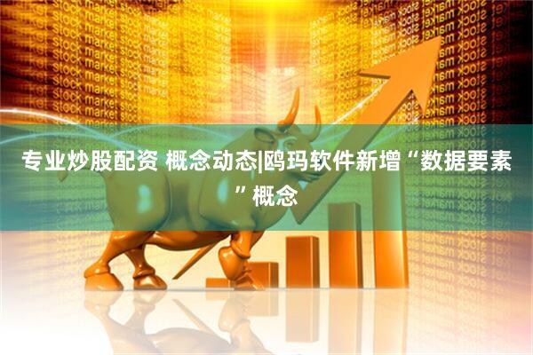专业炒股配资 概念动态|鸥玛软件新增“数据要素”概念