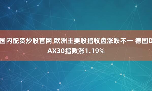 国内配资炒股官网 欧洲主要股指收盘涨跌不一 德国DAX30指数涨1.19%
