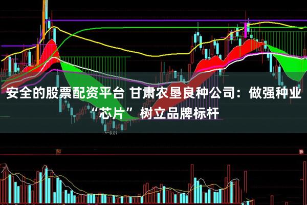 安全的股票配资平台 甘肃农垦良种公司：做强种业“芯片” 树立品牌标杆