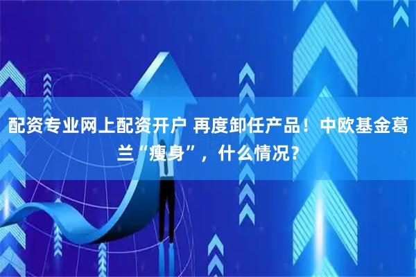 配资专业网上配资开户 再度卸任产品！中欧基金葛兰“瘦身”，什么情况？